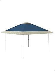 Garveelife 13x13 Pop Up Gazebo Tent