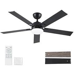 Rayqueen 52-Inch Black Ceiling Fan with Light