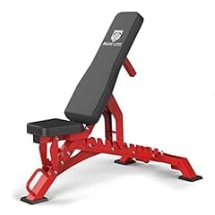 Major Lutie Fitness Weight Bench