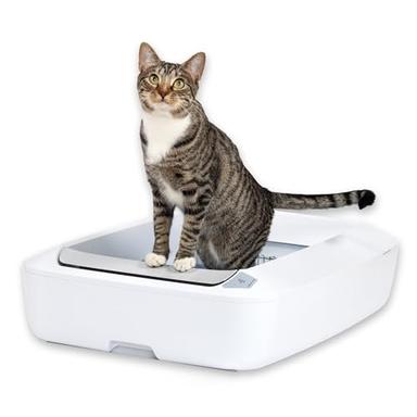 self cleaning litter pans