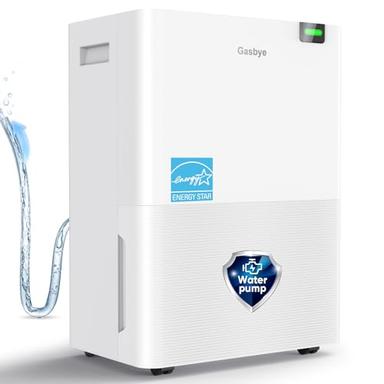 Dehumidifier with pump