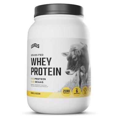 whey protein for women