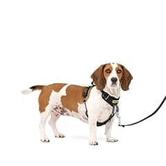 PetSafe Easy Walk Comfort No-Pull Dog Harness