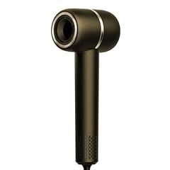 MSDWLGS High-Speed Ionic Hair Dryer