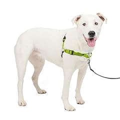 PetSafe Easy Walk Deluxe Dog Harness