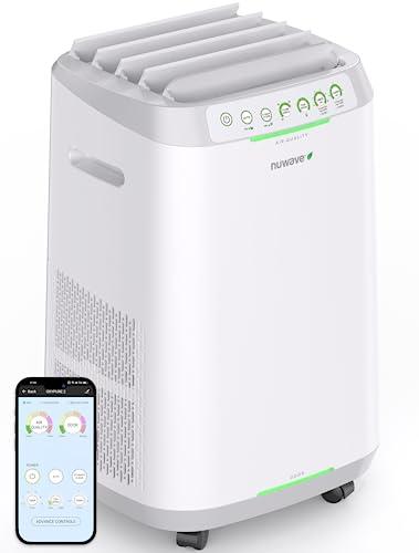 air ionizer