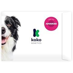 Koko Genetics Advanced DNA Test for Dogs