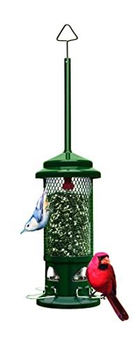 squirrel proof bird feeder