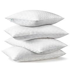 Swandream King Size Pillows Set