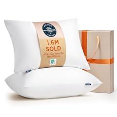 Bedsure Queen Size Pillows Set