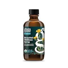 Gaia Herbs Bronchial Wellness Syrup