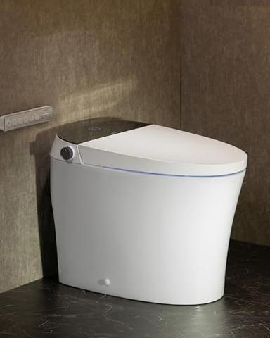 smart toilet