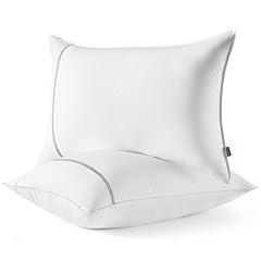 Bedsure Queen Pillow Set - 2 Pack