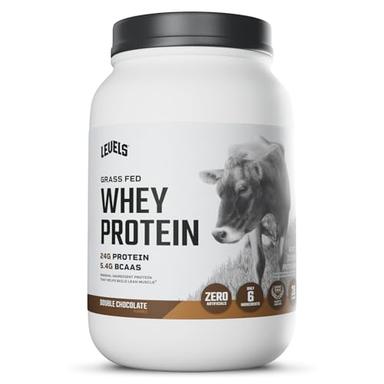 chocolate protein powder