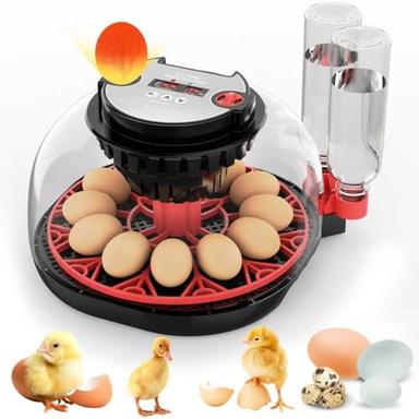 egg incubator