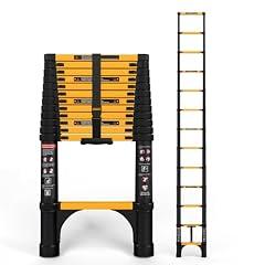 Sinmeirun 12.5 FT Telescoping Ladder