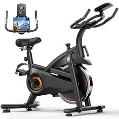 Cursor Fitness Exercise Bike