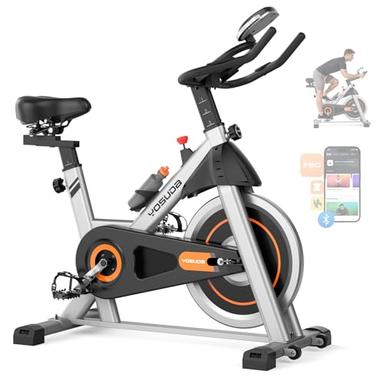 recumbent exercise bike