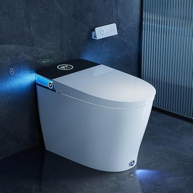smart toilet