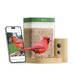 Birdfy Smart Bird Feeder with Camera