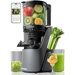 Canoly Cold Press Juicer Space Gray