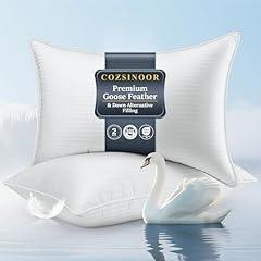 COZSINOOR Goose Feather Pillows Queen Size Set