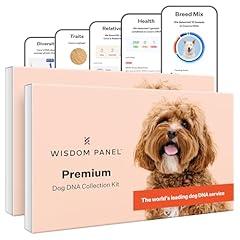 Wisdom Panel Premium Dog DNA Kit