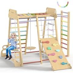 BlueWood Jungle Gym Indoor Playground