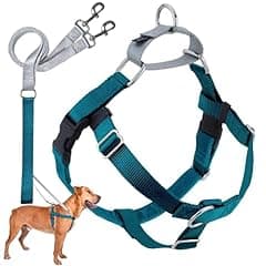 Freedom No Pull Dog Harness by 2 Hounds Design