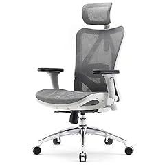 SIHOO M57 Ergonomic Mesh Office Chair