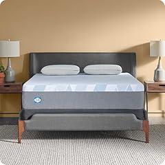 Sealy Dreamlife 12” Foam Mattress, Full