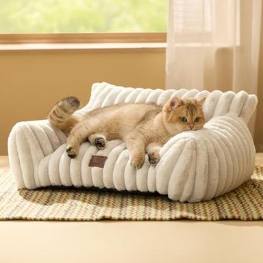 cat bed