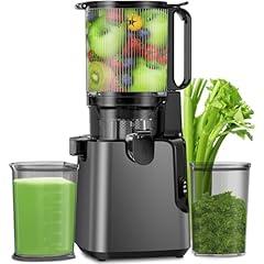 YPONE Cold Press Juicer Titanium Gray