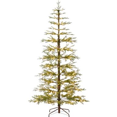 noble fir christmas tree