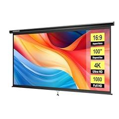 VIVOHOME 100 Inch HD 4K Projector Screen