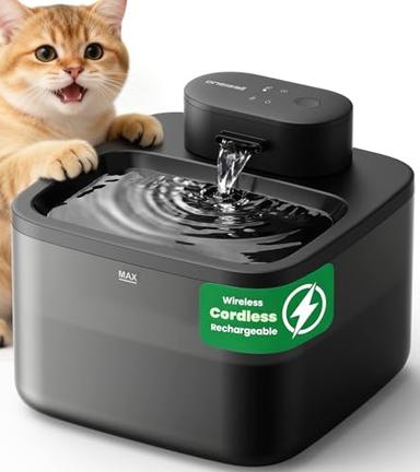 Cat Fountains