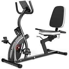 VANSWE Recumbent Exercise Bike RB661