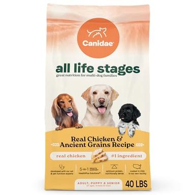 dog food