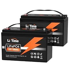 Litime 12V 100Ah LiFePO4 Battery (2-Pack)