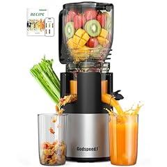 Godspeeds Cold Press Juicer