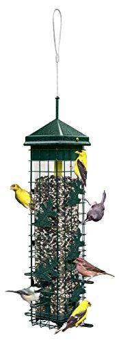 squirrel proof bird feeder