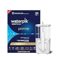 Waterpik Promax Water Flosser WF-23