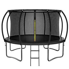 Kiivakii Outdoor Trampoline with Enclosure & Ladder