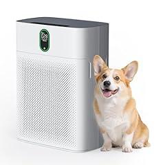 Pureborne Air Purifiers for Home