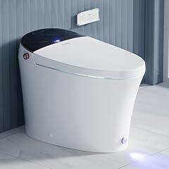 Casta Diva Smart Toilet with Remote CD-Y010L