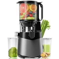 LUIXXN Cold Press Juicer 350W