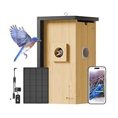 Birdfy Solar Birdhouse Camera with AI Detection