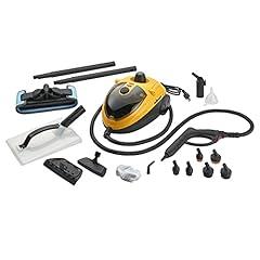 Wagner Spraytech 915e On-Demand Steam Cleaner & Wallpaper Remover
