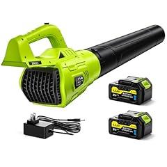 Meriied Cordless Leaf Blower 21V with Batteries