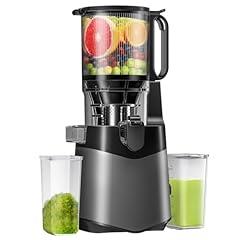 LUIXXN Cold Press Juicer 350W